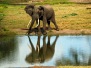 South Africa