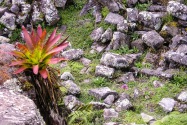 43-Machupicchu