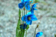 06-Anchorage.jpg