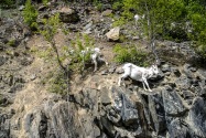 13-Kenai.jpg