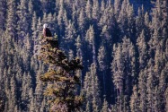 03-Minnewanka.jpg
