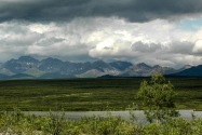01-DenaliHwy.jpg