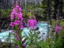 Kootenay NP