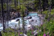 05-Kootenay.jpg