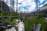 14-Kootenay.jpg