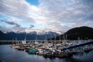 16-Haines.jpg