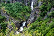 22-Haines.jpg