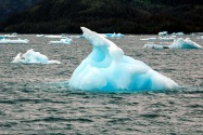 07-Valdez.jpg
