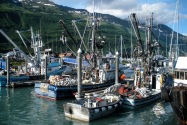 35-Valdez.jpg
