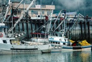 36-Valdez.jpg