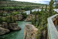 04-Whitehorse.jpg