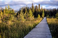 11-Liard.jpg