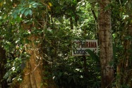 06-Explorama