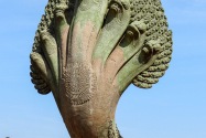04-angkorwat
