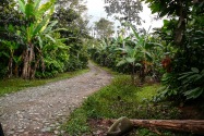 029-rioverde