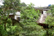 063-tena