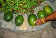 096-vilcabamba