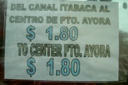 113-bus