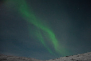 Aurora Borealis