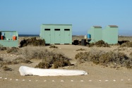 088-Baja