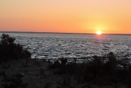 119-Baja