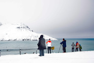 Borgarfjörður Iceland