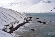 Borgarfjörður Iceland