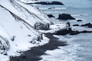 Borgarfjörður Iceland