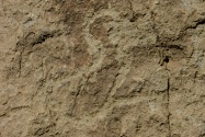 Bandelier NM, NM