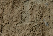 Bandelier NM, NM