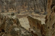 Bandelier NM, NM