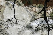 Bandelier NM, NM