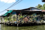 32-bangkok
