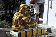 37-watarun