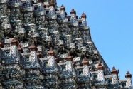 49-watarun