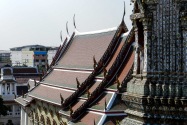 65-watarun