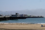 SF Bay Area