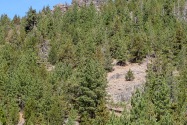 Lake Davis, CA