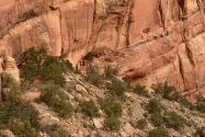 Cave Tower