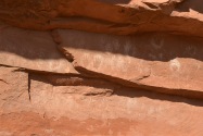 Handprint Complex