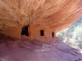 Mule & Lower Mule Canyons