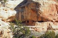Lower Mule Canyon