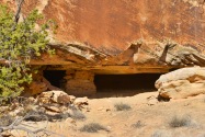 Petroglyph House