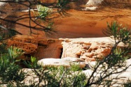 Snug Ruin
