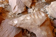 Ballroom Cave
