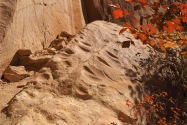 Split Level