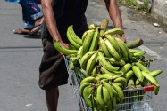 Bocas Town
