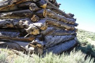 Bristlecone NF, CA