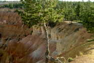 Bryce Canyon NP, UT