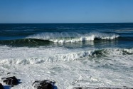 Bodega Bay